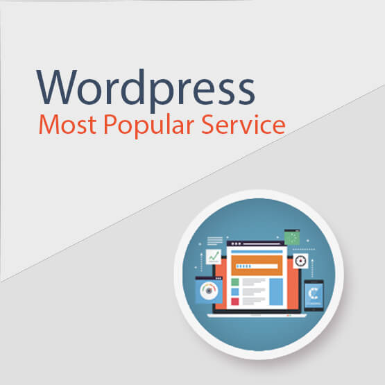 Wordpress Most Popular Service